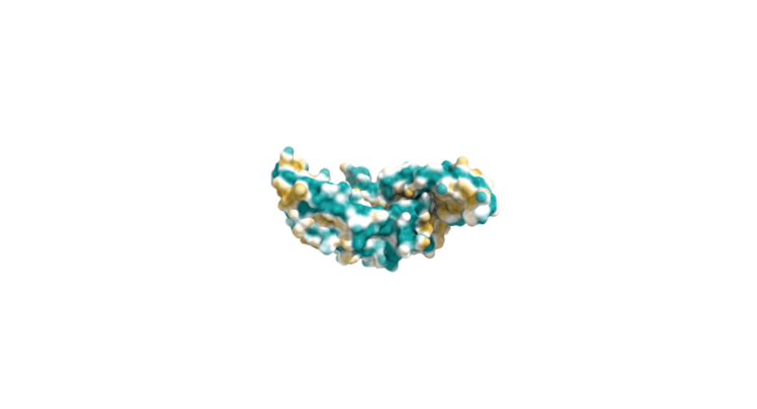ATEC, Theradaptive Team Up on Regenerative Tech in Spinal Fusion 
